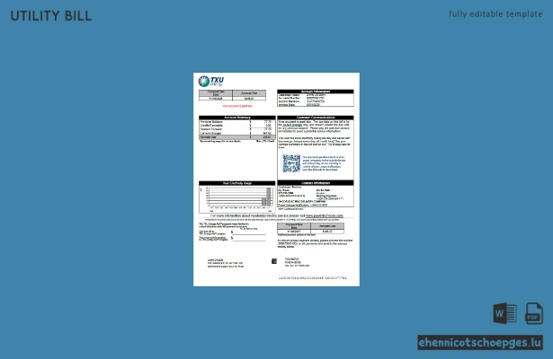 USA TXU Energy Stromrechnung Word-Version 8 Beispielvorschau